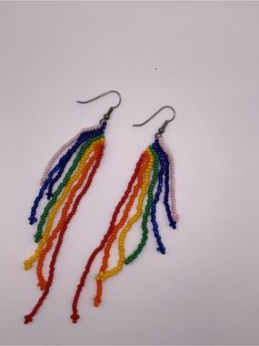 Rainbow Seed Bead Fringe Earrings